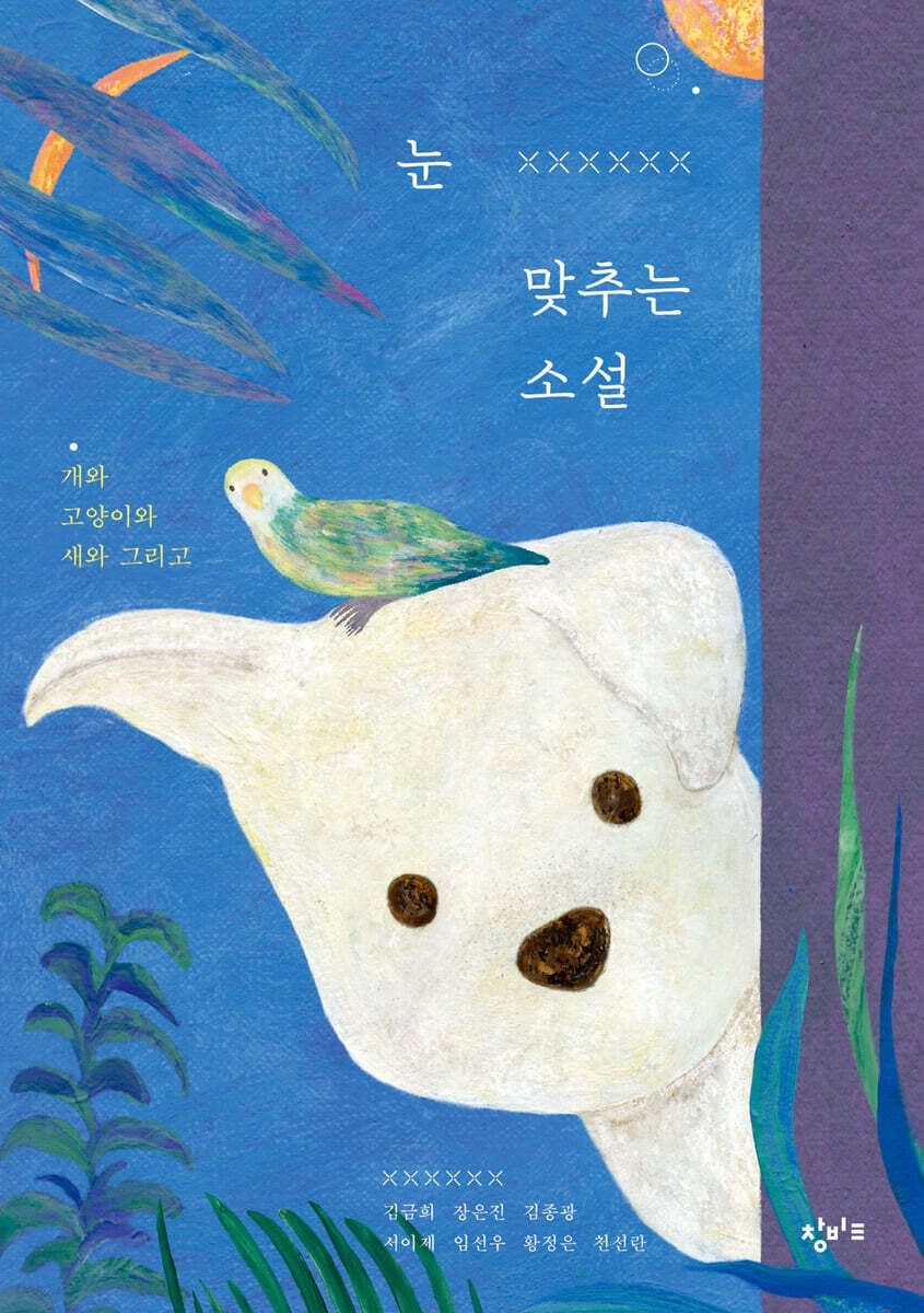 《眼神交會的小說》(눈 맞추는 소설)