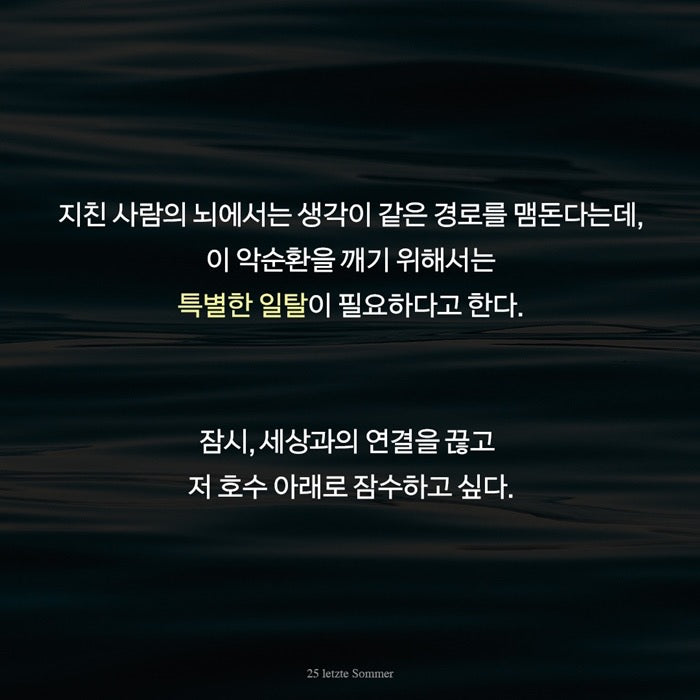 《我剩下的二十五個夏天》(내게 남은 스물다섯 번의 계절)