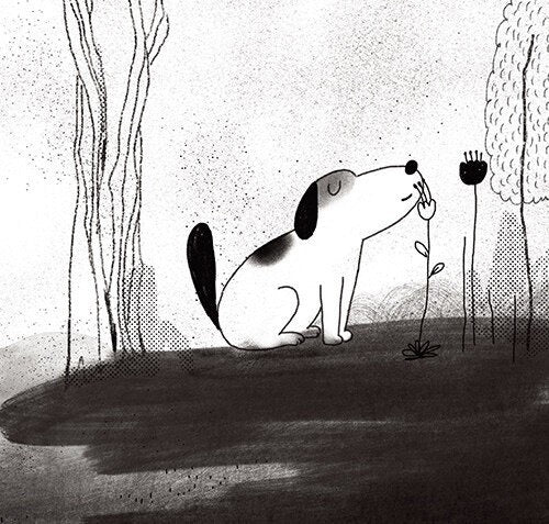 《賽門的春天》(사이먼의 봄)獻給每個還不太會說「我們可以當朋友嗎?」的孩子們