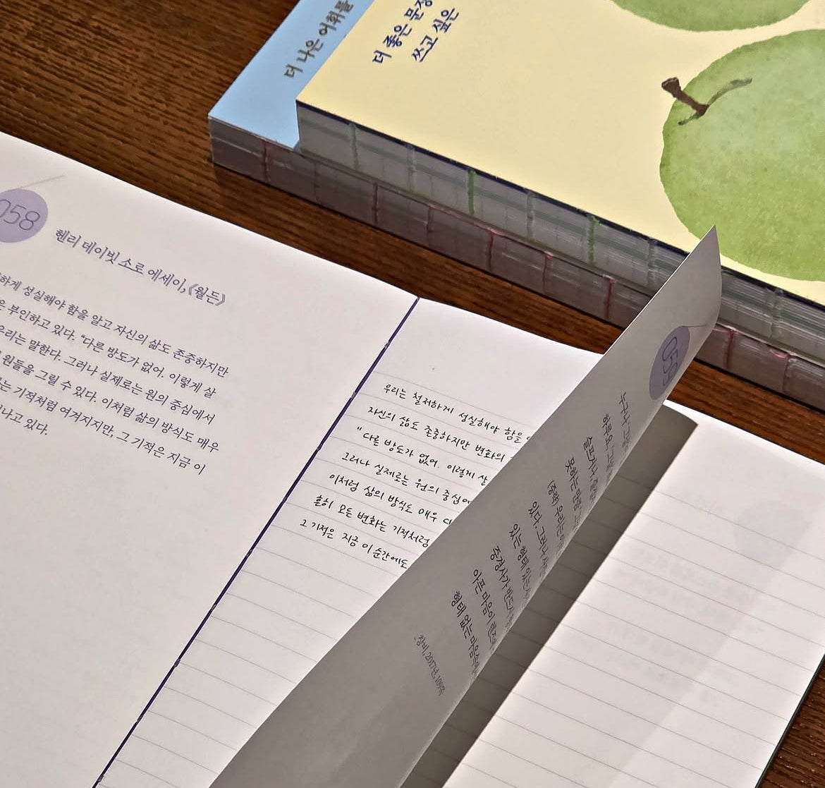 《給想用更好詞彙的你:大人的寫作練習書》(더 나은 어휘를 쓰고 싶은 당신을 위한 필사책)