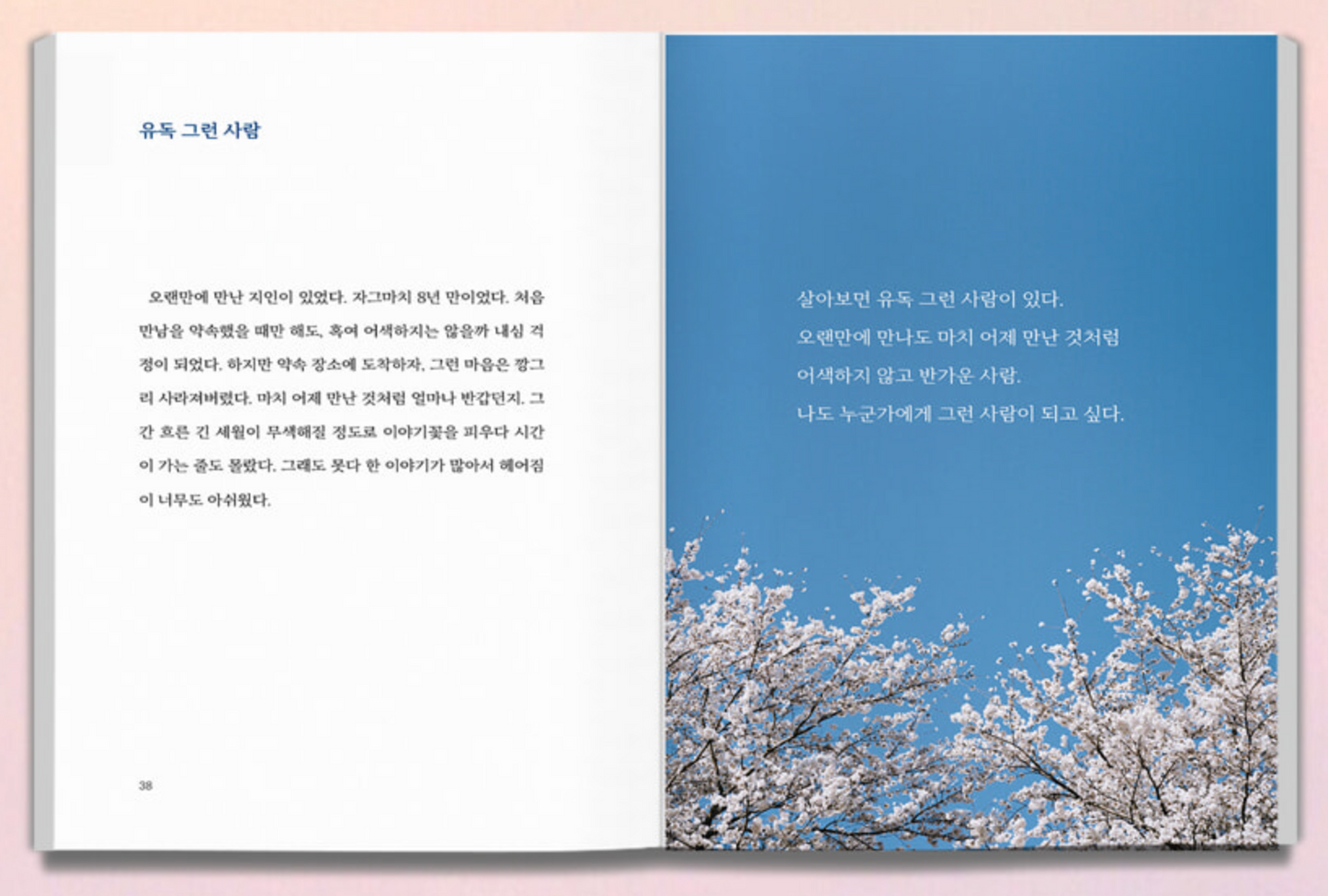 《變遲鈍的這件事（五週年紀念改版）》（무뎌진다는 것)