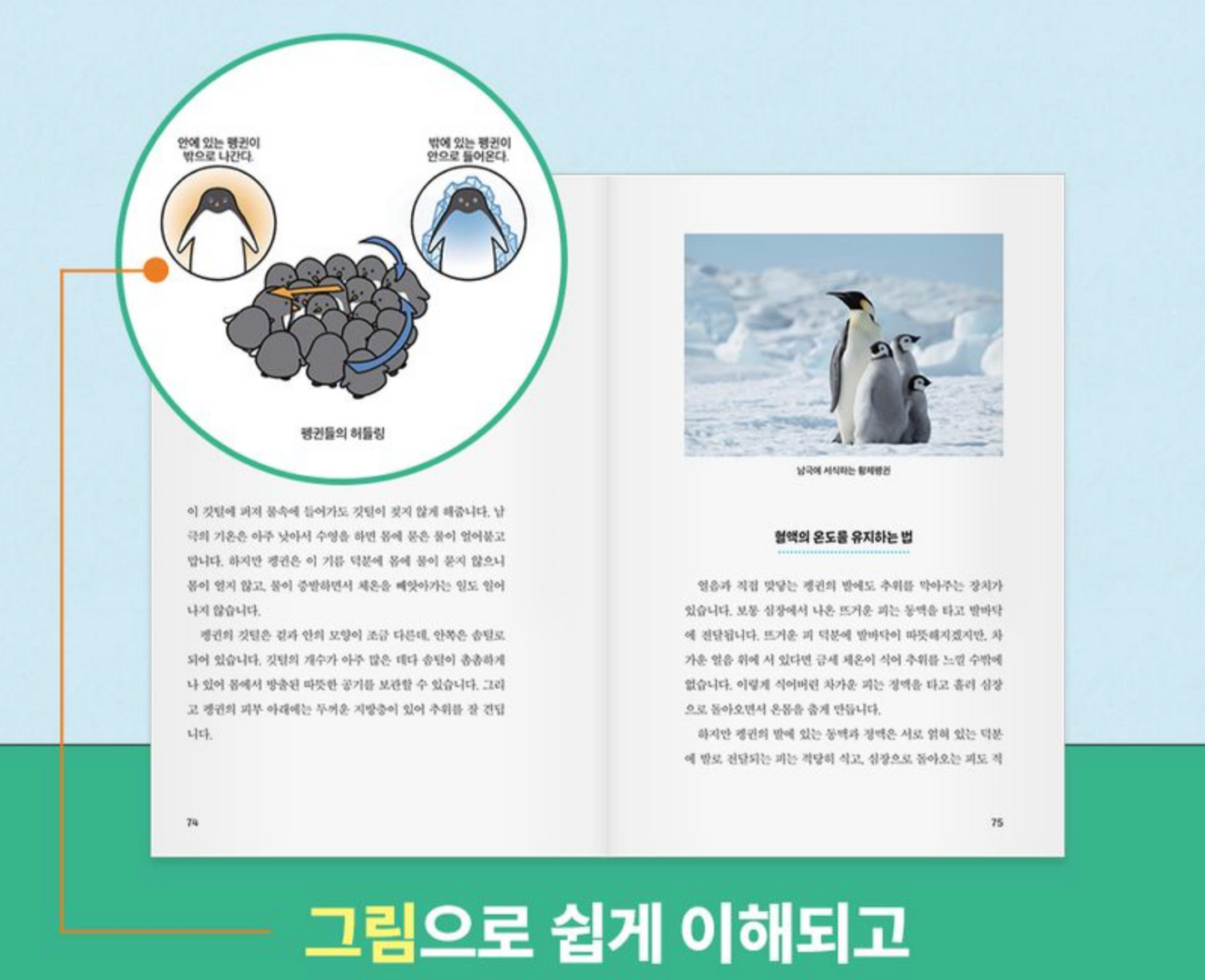 奇怪的科學書（이상한 과학책）