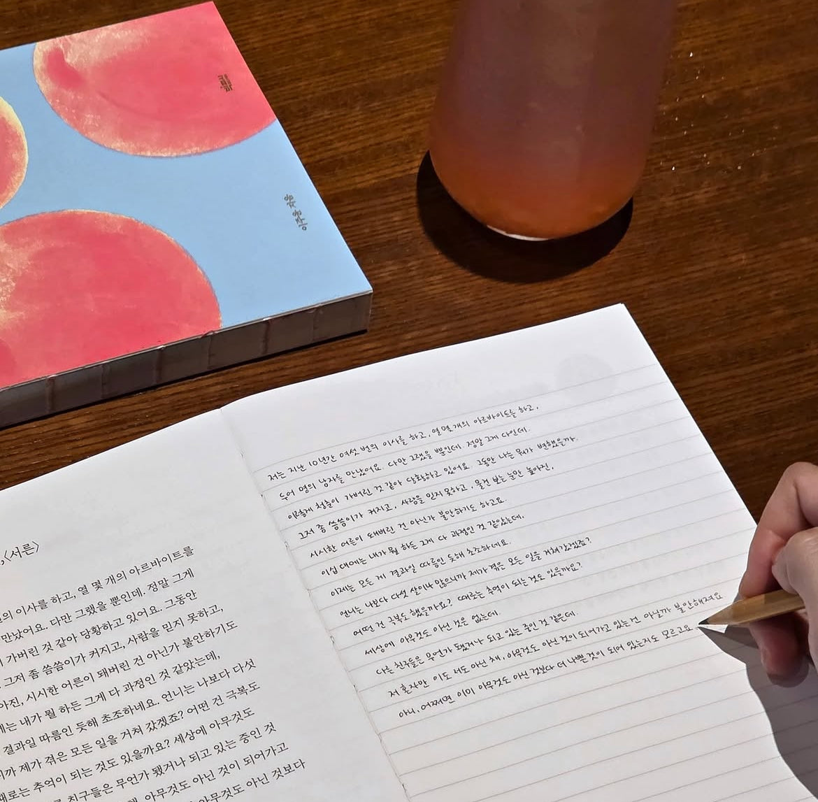 《給想用更好詞彙的你：大人的寫作練習書》（더 나은 어휘를 쓰고 싶은 당신을 위한 필사책)